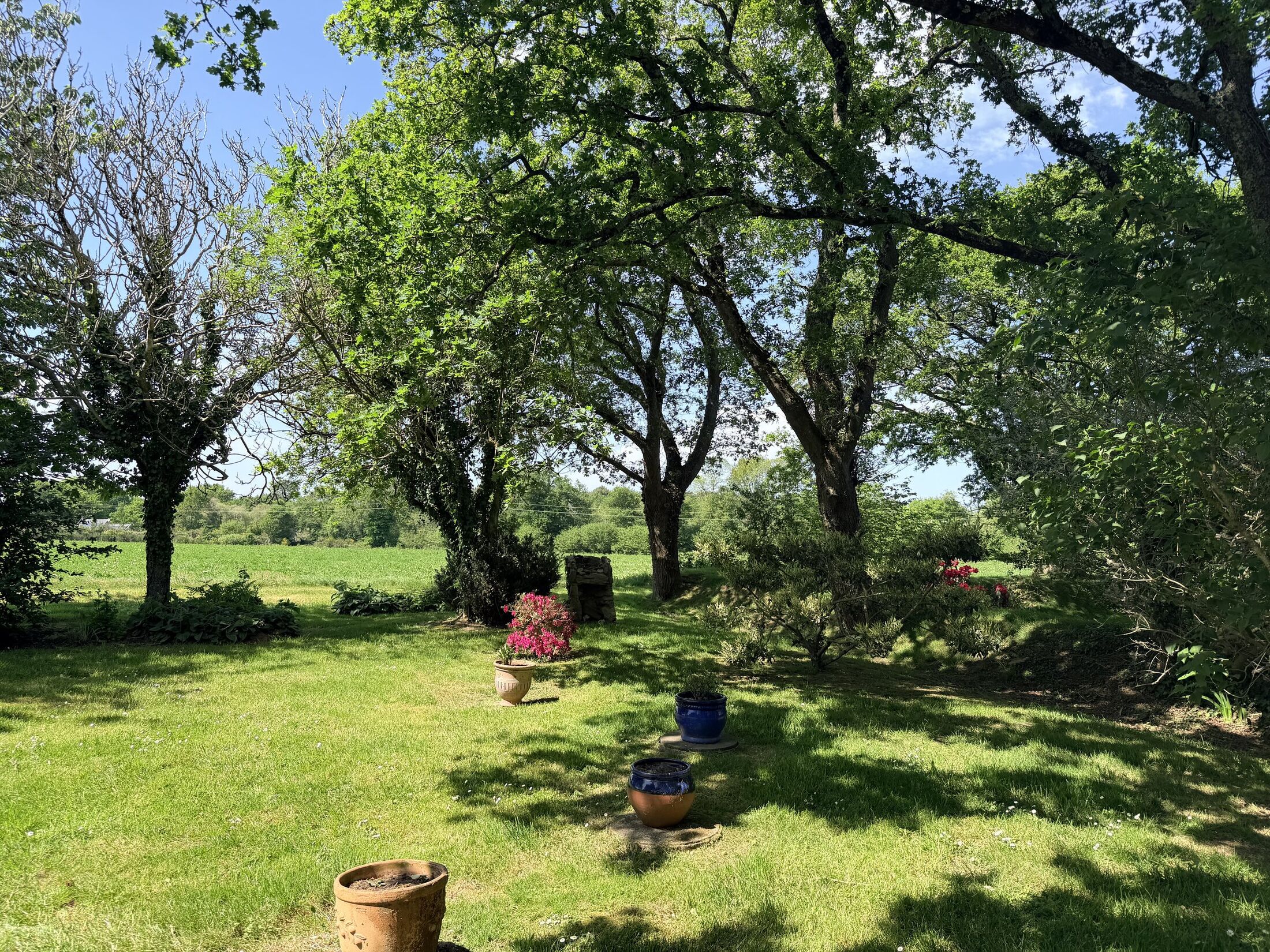 Jardin et terrain